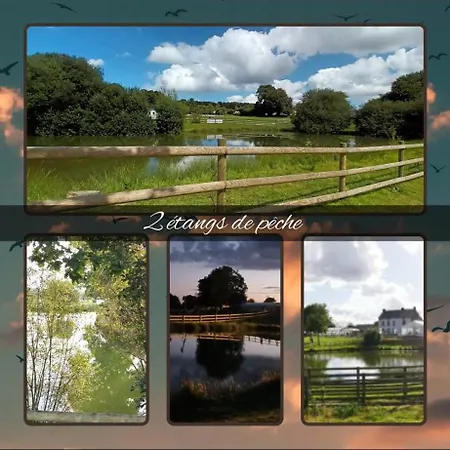 Campsite Confort 8 Pers *