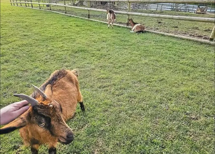 Confort 6 Personnes *